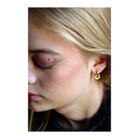 Heavy Hoops x Pampilles