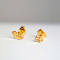 Seeds x Atelier Mouti